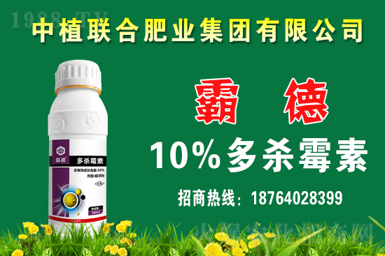 今日小麥價(jià)格行情如何？春節(jié)前小麥價(jià)格還會(huì)上漲嗎？