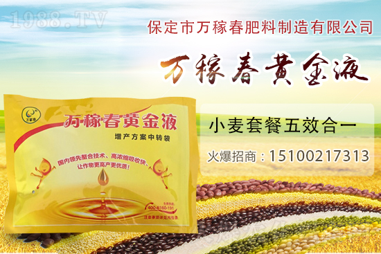 種植大蒜為什么要覆蓋地膜？地膜大蒜高產(chǎn)栽培及注意事項！