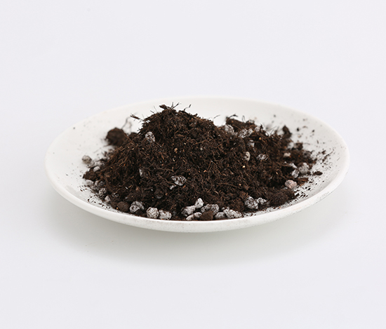 ������|(zh��)-������-�����r(n��ng)�I(y��)1