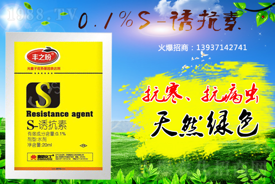 �P��ֲ���{����S-�T���������˽������