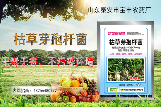 �ݲ�ѿ�ߗU���ܽ�Q������Щ���}���ݲ�ѿ�ߗU�����r(n��ng)�����ϵđ�(y��ng)�ã�