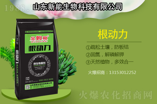 作物根部病害多原因在哪?解決病害生根措施怎么做?