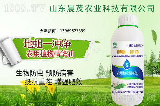 地蛆難防也要治,地蛆的防治要點(diǎn)