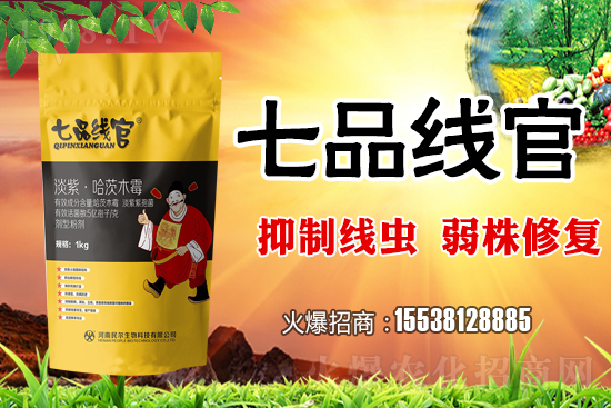     白菜根結(jié)線蟲危害極大！抓緊防治！白菜根結(jié)線蟲有效藥劑推薦！