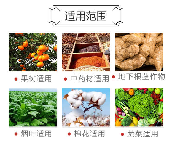 玉米專用型防滲漏長效功能肥-大化肥業(yè)_04