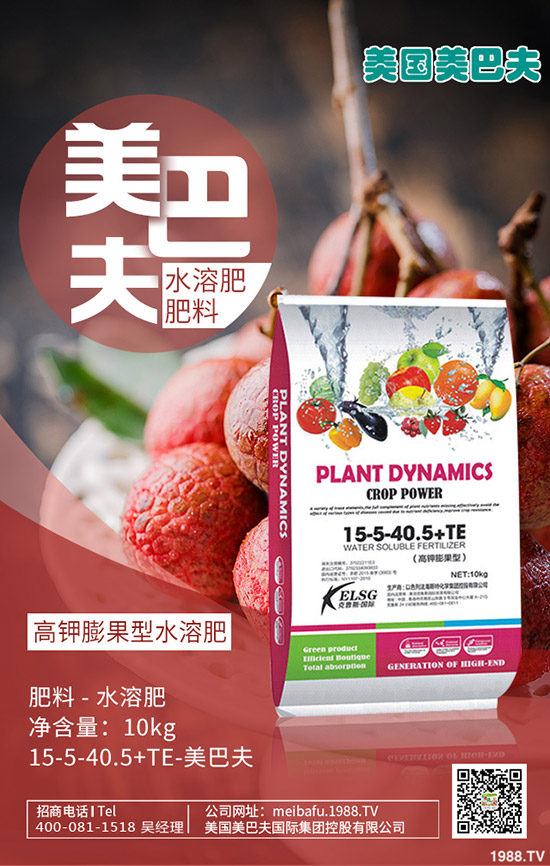 冬小麥進入三月如何管理?小麥管理重點及注意事項!