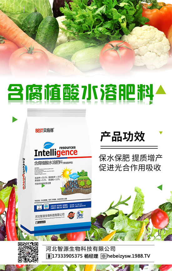 春季種植番茄施什么肥好呢？