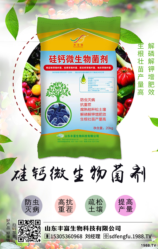 花生如何選種？花生怎么種植能高產？