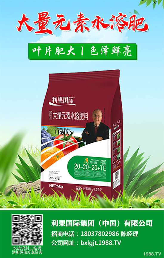 金銀花種植前景如何?2020金銀花的種植前景及效益分析