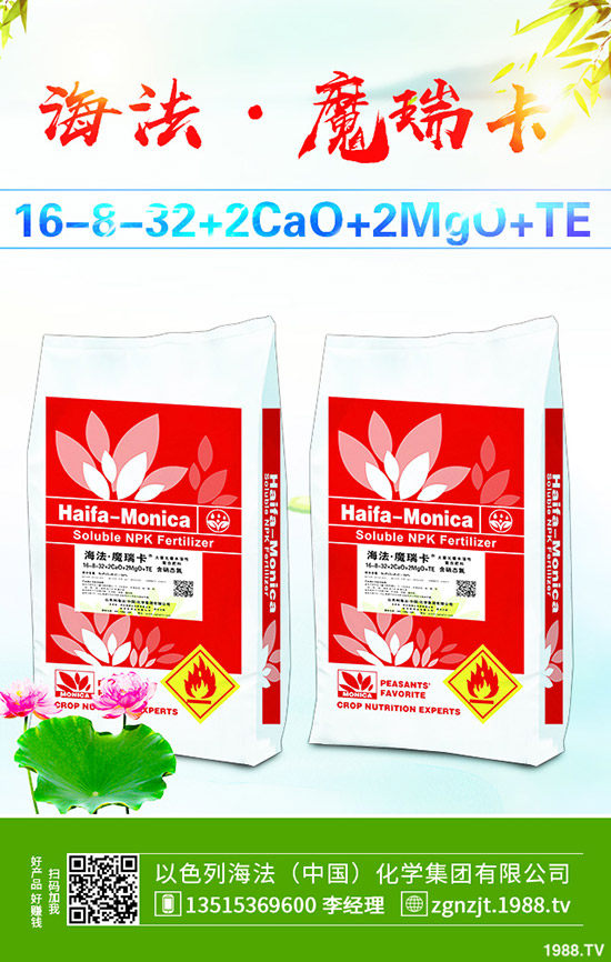     ���أ��r(ji��)��ֹ?ji��)q���䣬�Ј�(ch��ng)С����ʎ��2020-3-21�������س��S��(b��o)�r(ji��)��