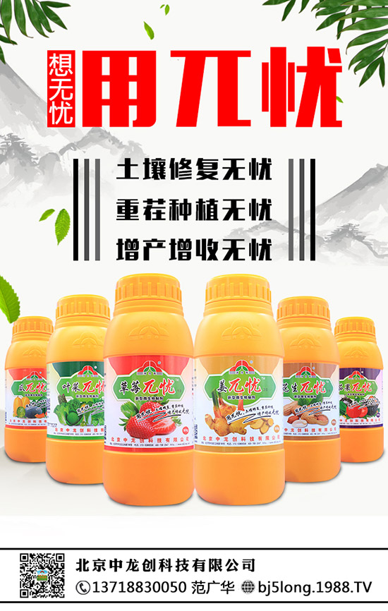 草莓為什么會(huì)發(fā)生肥害，草莓肥害要怎么補(bǔ)救？ 