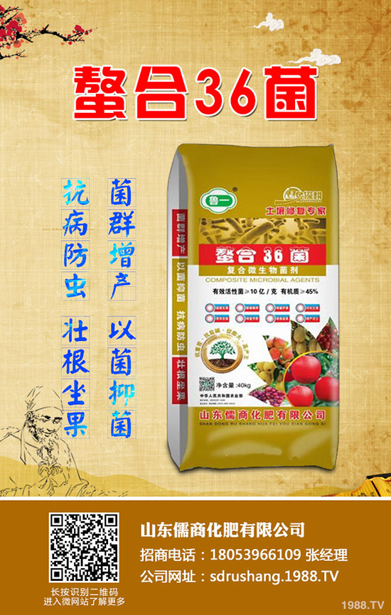     蘋果樹春季管理需要注意的12大誤區(qū)！值得你收藏！