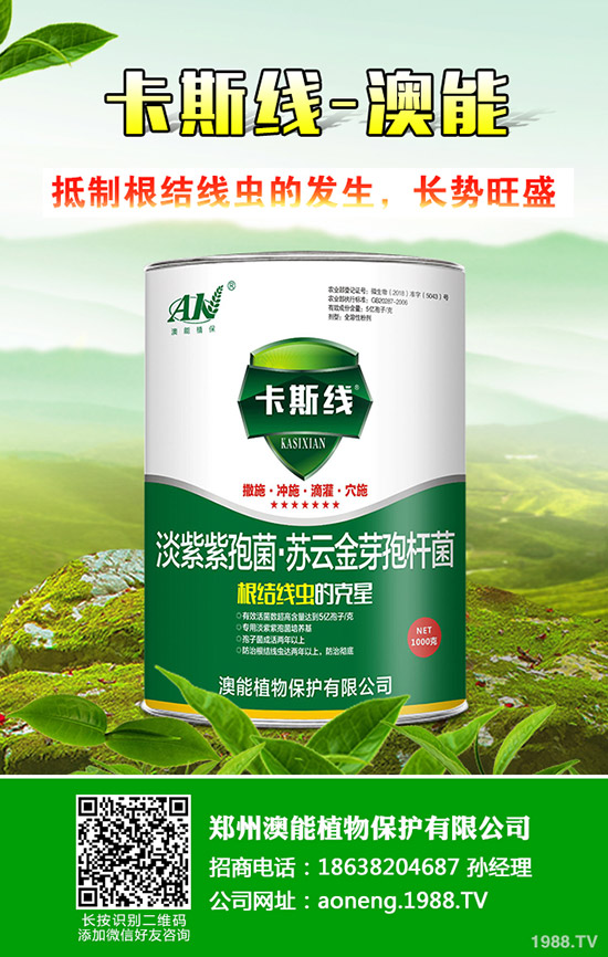 南瓜種植時(shí)間是什么時(shí)候?南瓜的種植技巧!