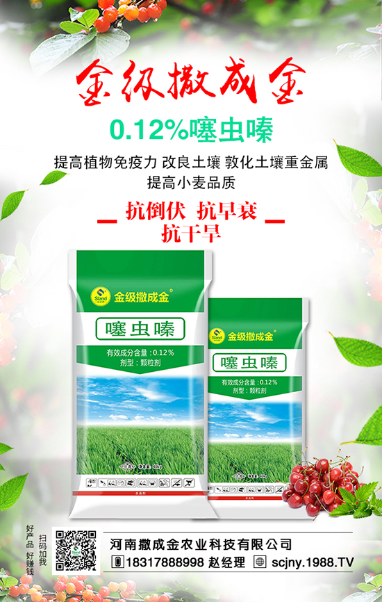 白菜畝產(chǎn)產(chǎn)量高，施肥方法有哪些？