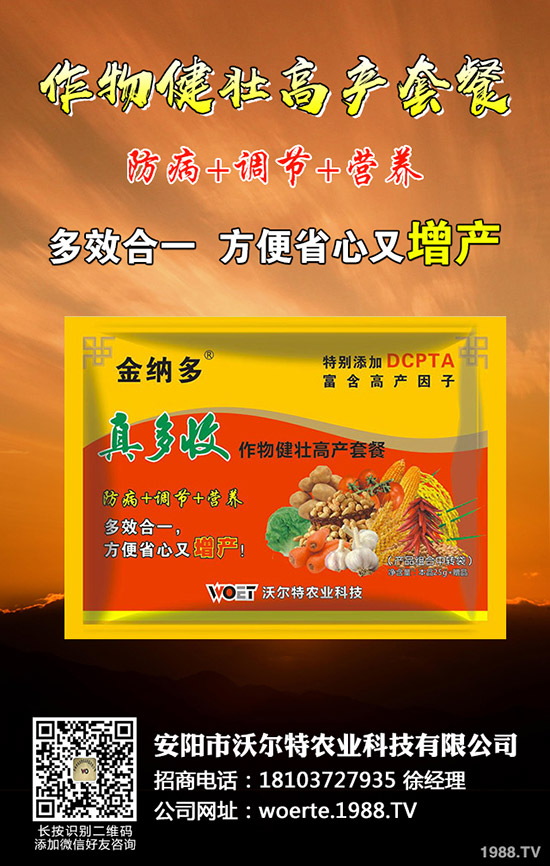 ������ô�N����ã����ѷNֲ�r(sh��)�g�����༼�g(sh��)��