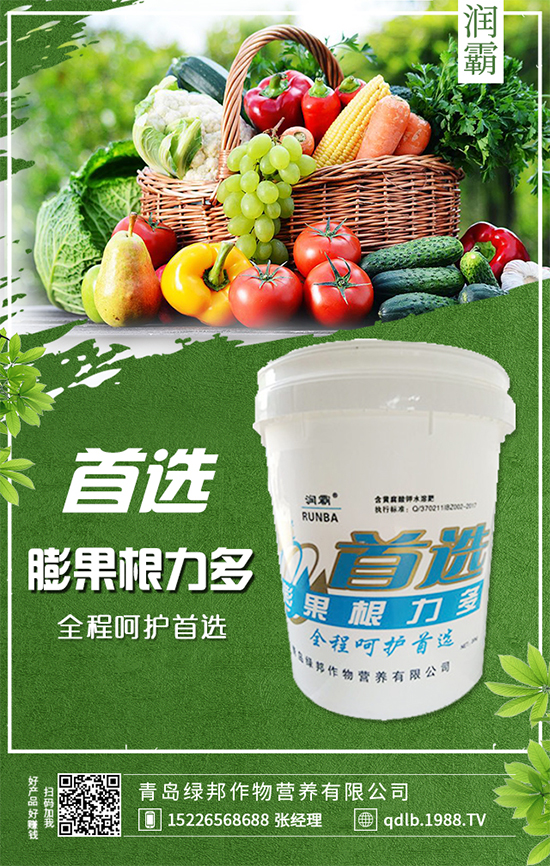 萬(wàn)年青插桿及播種要點(diǎn)，室內(nèi)萬(wàn)年青種植注意事項(xiàng)！