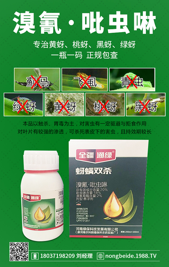 �������x���g�Y�����������x���δ�ʩ��