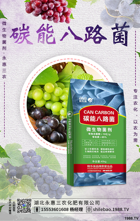 莧菜種植時(shí)間是什么時(shí)候，莧菜種植方法技術(shù)