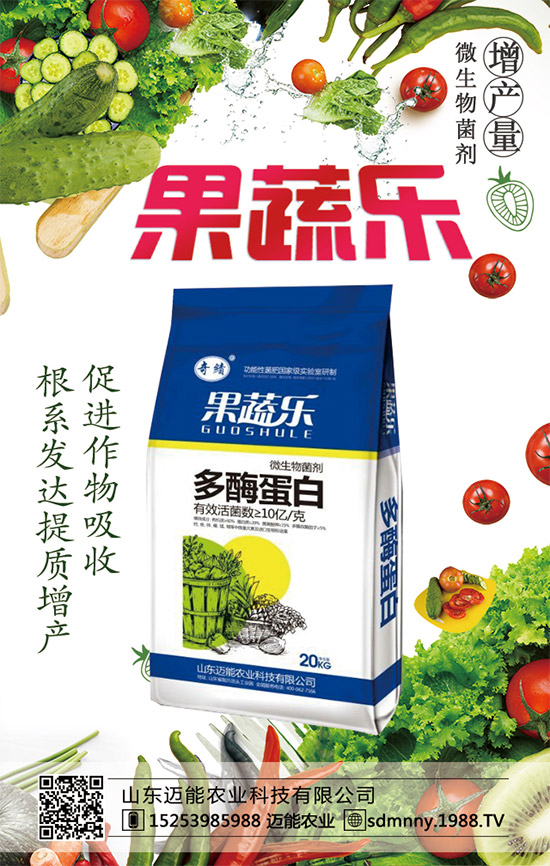 如何讓西瓜種子發(fā)芽？西瓜生長(zhǎng)發(fā)育對(duì)環(huán)境條件的要求！	