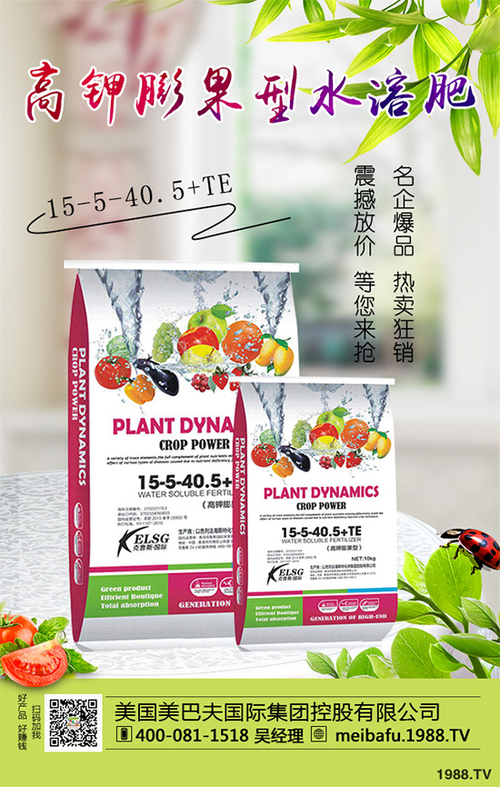 �ϹϷ��Ďׂ����L�A�����Ϲό��������I�B(y��ng)Ҫ��