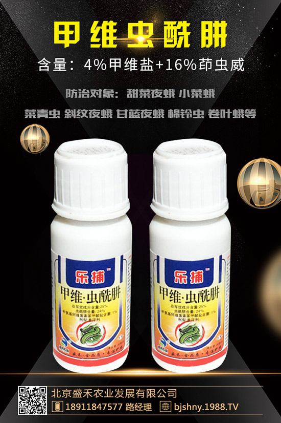 С���t֩��İl(f��)��Ҏ(gu��)������Щ��С���t֩����δ�ʩ��