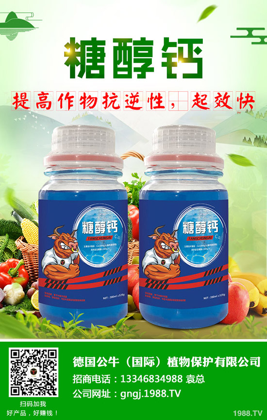 ����ʩ���v����������ʩ���Ľ���