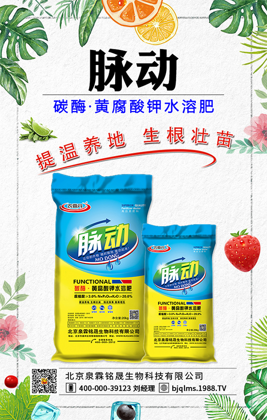 蒲公英藥用價(jià)值有哪些?蒲公英作用及功效!