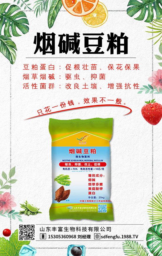 春紅薯什么時(shí)間種植？紅薯種植如何才能豐產(chǎn)呢？