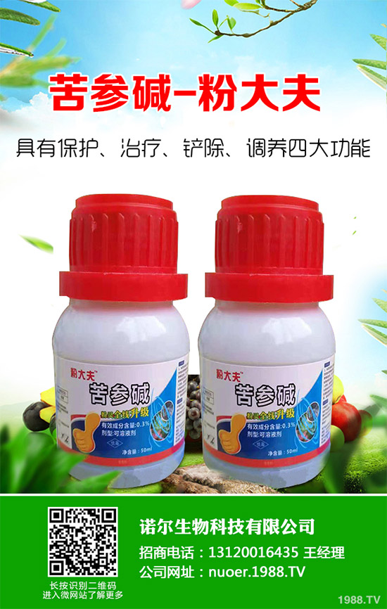 �{�����ӵă�(y��u)��(sh��)�����x���δ��ֲ���Ј�(ch��ng)�д�������