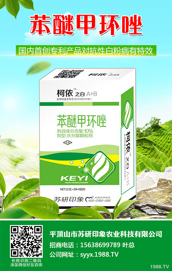     ��ذl(f��)�F(xi��n)���Ծ�������(y��ng)���赾��������(du��)뿾����Ŀ�ˎ�Ԇ�(w��n)�}