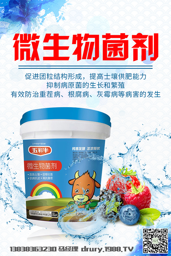 大棚韭菜該怎么種植？韭菜大棚管理技術(shù)要點