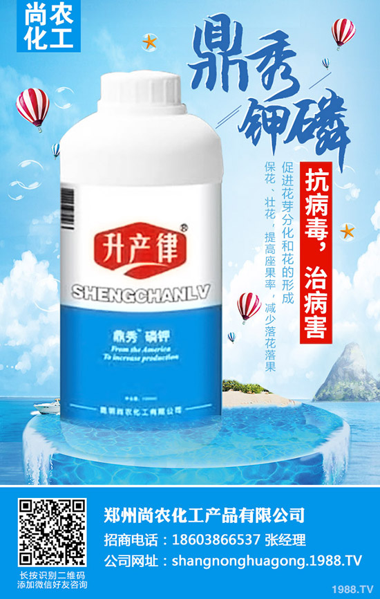     甘藍(lán)不結(jié)球怎么辦，甘藍(lán)不結(jié)球原因及防治措施！