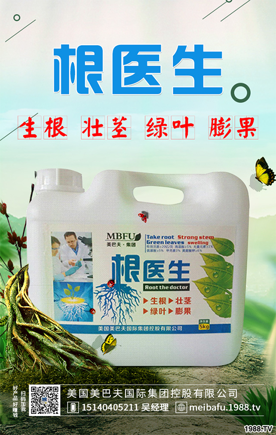 春花生什么時候播種？春花生的播種時間及注意事項