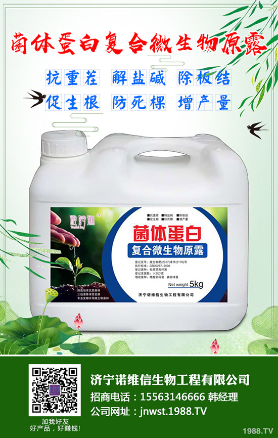 大豆施用硼肥有哪些好處？大豆施用硼肥的技術(shù)！