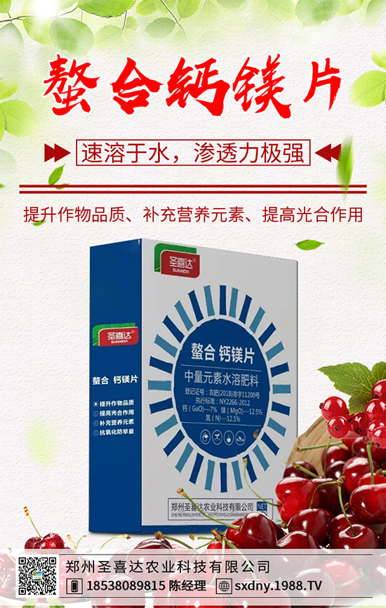 油麥菜該如何育苗？油麥菜的高產(chǎn)栽培管理技術(shù)