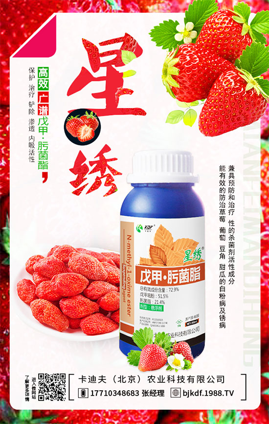 ����Ҫ��Ҫ���������������_��֦����أ�