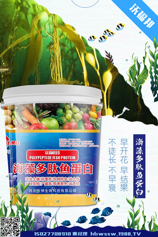     ���ӷNֲ��Ҫע����Щ��(w��n)�}�����ӵ�ˮ�ʹ���Ҫ�c(di��n)��