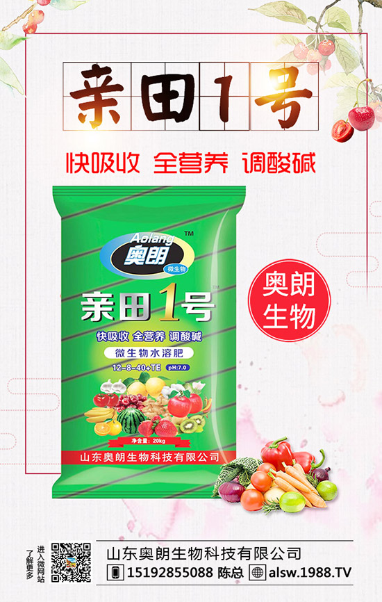  蘆筍種子處理及育苗技術(shù)，蘆筍定植后要如何管理？