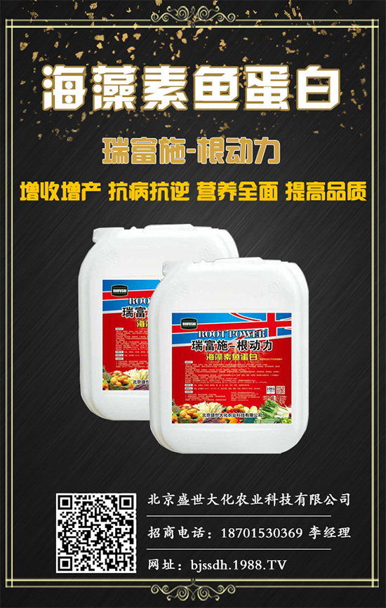 �d�ӻ�ʲô�r(sh��)����Բ��գ��d�ӹ���(sh��)���ռ��ӹ���