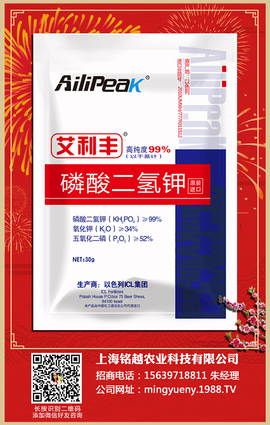 向日葵如何施肥才高產？向日葵各個時期的施肥技術，很實用！