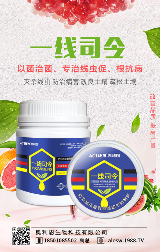 �㶹��������ʲôΣ�����㶹�������İl(f��)��Ҏ(gu��)�ɼ�������