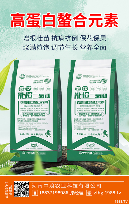 山楂什么時候種植?山楂樹高產(chǎn)種植方案