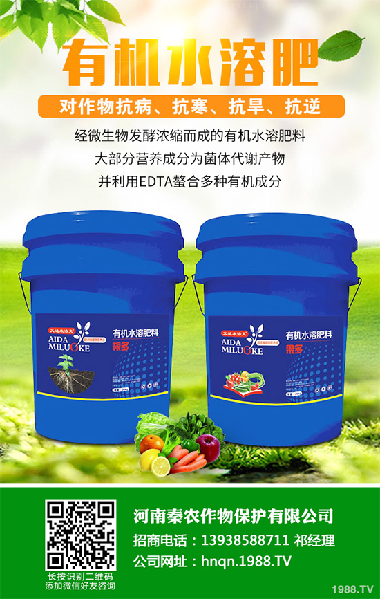 山楂什么時候種植?山楂樹高產(chǎn)種植方案