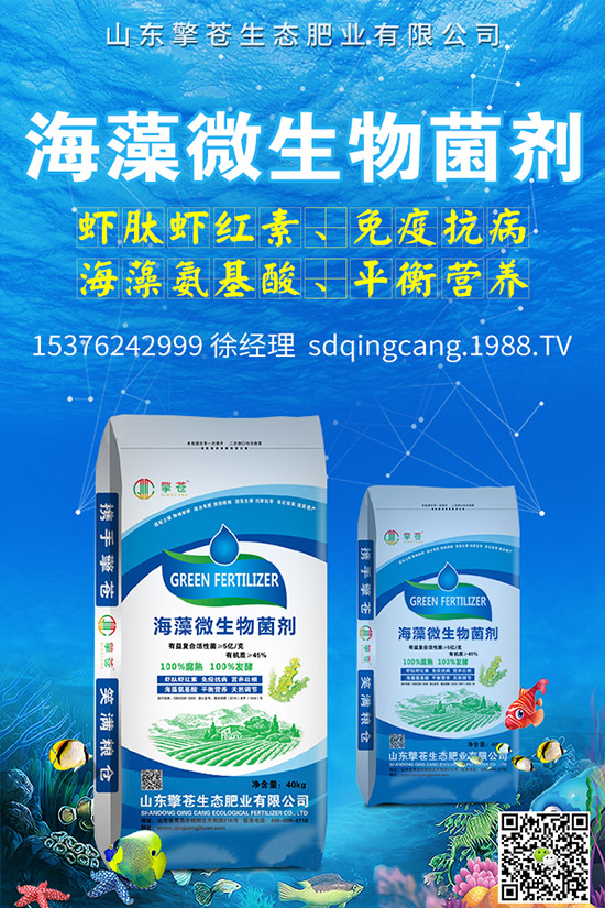 2020-4-8國內(nèi)二銨需求一般!今日最新磷酸二銨價格報價!