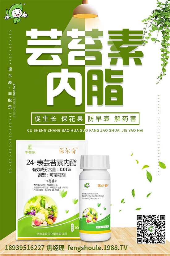 苦瓜苗怎么嫁接？苦瓜嫁接高產(chǎn)種植技術(shù)！