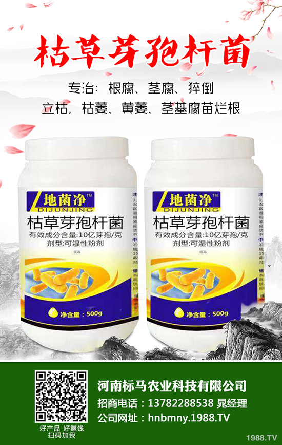 苦瓜怎么施肥,苦瓜施肥要點(diǎn)有哪些?