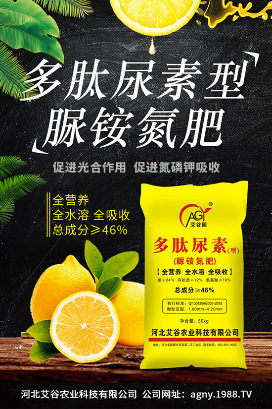 四季豆種植要點(diǎn),四季豆育苗技術(shù)及苗期管理