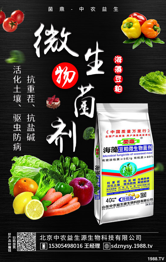     二銨市場整體表現(xiàn)平靜！2020-5-12最新磷酸二銨價格行情分析！