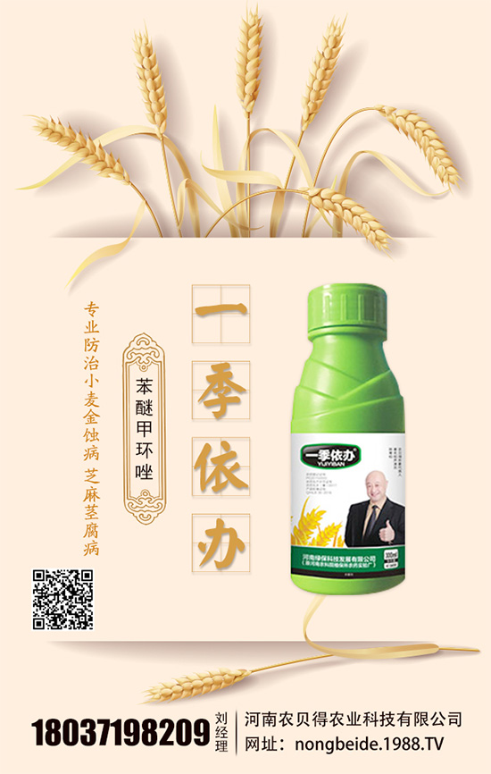 水培白掌怎么養(yǎng)?水培水培注意要點!