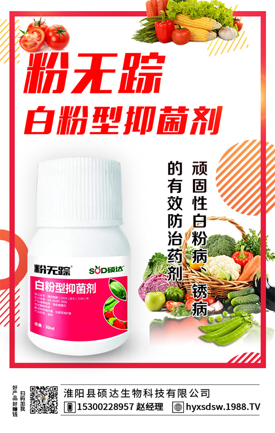 ������ô�Nֲ�������Nֲ���g(sh��)Ҫ�c(di��n)��